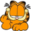 garf007